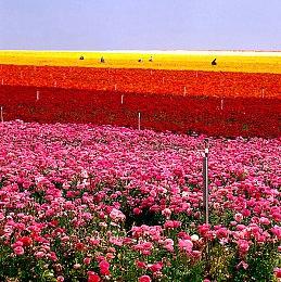 微软再谈Xbox Series S游戏开发：做好规划就没问题