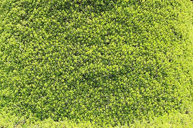 《ONI：鬼族武者立志传》现已开启预购，享10%折扣